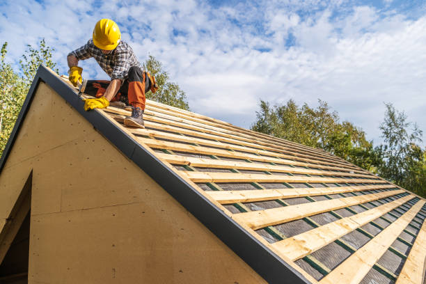 Best Metal Roofing Contractor  in Ronceverte, WV