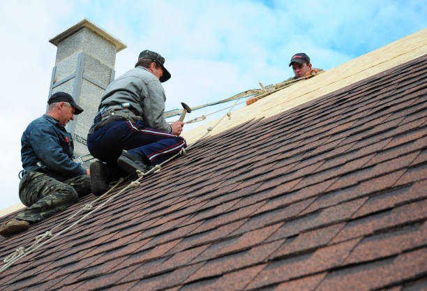 Quick and Trustworthy Emergency Roof Repair Services in Ronceverte, WV
